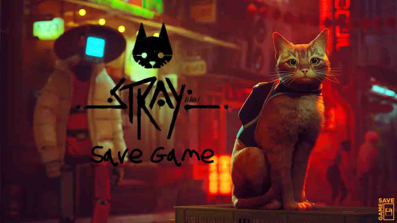 stray save file