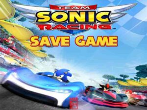 team sonic racing save file